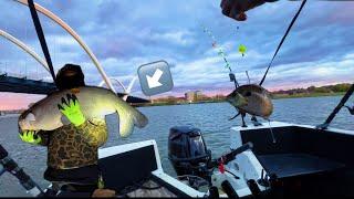 Catching new PB Fishing with live & cut bait