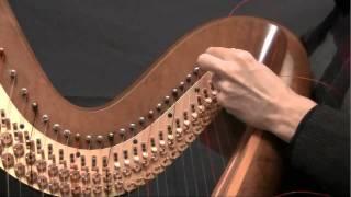 Episode 10 - How to Change a Harp String