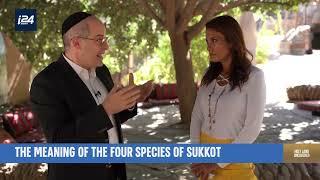 CITY OF DAVID AND THE ESSENTIALS OF SUKKOT