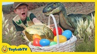 Golden Easter Egg Hunt! Dinosaur Surprise Toys Challenge & T-Rex Chase for Kids | ToyLabTV