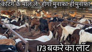 कटिंग बकरों के व्यापार में कितनी है कमाई | cutting goat business | Brsd goat farm