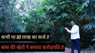 Bamboo Farming ने बनाया करोड़पति || कभी था 10 लाख का कर्ज || Successful Farmer || Hello Kisaan