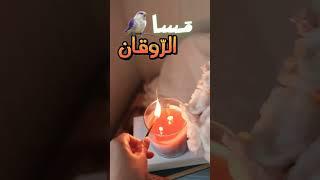 يا مساء الورد يا عصفورتي كاظم الساهر #مساء_الخير #مساء_الورد #كاظم_الساهر #اغاني #مسائية