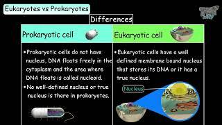 Cell | Comparing between Prokaryotic and Eukaryotic Cells | Types of Cells