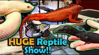 Tinley NARBC March 2023!! Reptiles Galore!