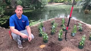 Soil Preparation Gardening Tip | San Antonio Botanical Garden