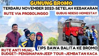 GUNUNG BROMO TERBARU 2023 | BROMO TERKINI SETELAH KEBAKARAN | GUBUG NDESO HOMESTAY |JEEP TOUR BROMO