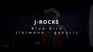 BLUE BIRD - IKIMONO GAKARI | J-ROCKS COVER LIVE