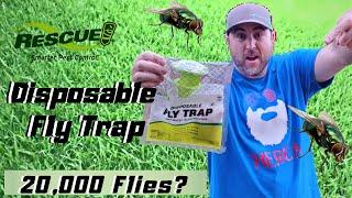 Rescue Disposable Fly Trap - Do They Really Work? Product Review