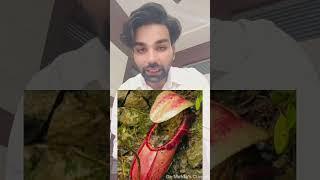 CARNIVOROUS PLANTS I BOTANY I DIVYANSH SIR I DR MEHTAS CLASSES