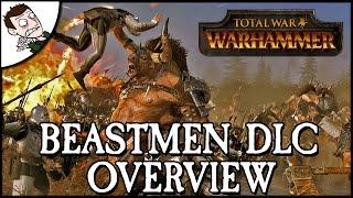 CALL OF THE BEASTMEN! Total War WARHAMMER Beastmen DLC Overview!