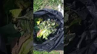 Берегите окружающую среду иначе она вам этого не простит.