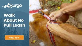 How to Use the Kurgo Walk About No Pull Leash