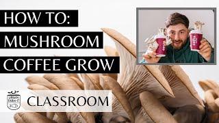 How To Grow Mushrooms On Coffee Grounds (Easy & Sustainable) | Urban Farm-It's Classroom