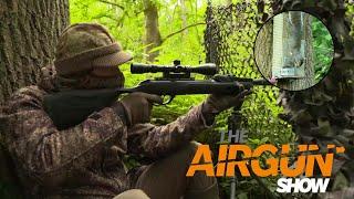 The Airgun Show – pest control with a spring gun, PLUS the Daystate Huntsman Safari…