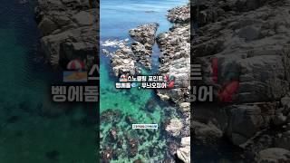 스노클링, 벵에돔, 무늬오징어 포인트️ #캠핑 #노지 #낚시 #차박 #바다낚시 #벵에돔 #무늬오징어