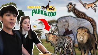 BULE POLANDIA KAGET LIAT HEWAN INI DI LEMBANG PARK ZOO