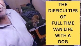 Difficulties of Full Time Van Life With a Dog