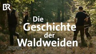 Schachtenpflege im Bayerischen Wald | Bayerwald Almen | Schwaben + Altbayern | BR