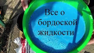 Бордоская смесь–ВСЕ секрети!!? #Бордоская #смесь #фунгицид