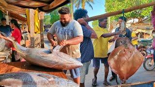 Exploring Sri Lanka's Bustling Fish Market Fresh Seafood