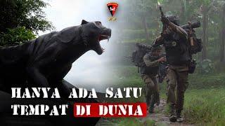 TIDAK UNTUK DI TIRU ! || INI PEMILIK KEMAMPUAN JUNGLE WARFARE