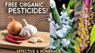 Kitchen Base Organic Pesticides, You Can Use To Remove Pests! (FREE & EFFECTIVE)