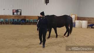 Jaxx & Colleen Walking the Bridge @ Diversity Horsemanship