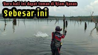 CASTING TOMAN DI RIAM KANAN WADUK TERBESAR KALIMANTAN SELATAN ||