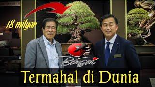 5 Pohon BONSAI Termahal dan Tertua di Dunia Saat Ini