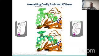 Johannes Rebelein – Engineering Artificial Metalloenzymes: the Biology-Chemistry Nexus for Catalysis