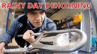 DEHORNING CALVES [2021] | VLOG 15: Dehorning in the rain