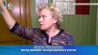 «Телезащитник»  Александра Афонина  01 июня 2016