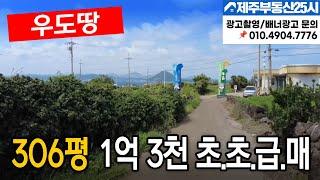 [매물번호0275] 우도 바다전망 굿 306평 #제주도부동산