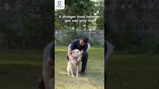 Master of Pawpets | Leash Training | PetCare | Pet Training | Pet Taxi | Delhi NCR