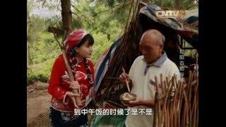 松阳古韵乡情【文明密码】