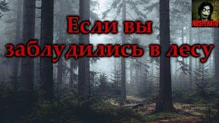 ЕСЛИ ВЫ ЗАБЛУДИЛИСЬ В ЛЕСУ. Страшные истории на ночь. Страшилки на ночь