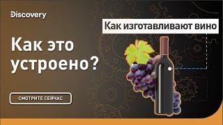 Как изготавливают вино | Как это сделано? | Discovery Channel