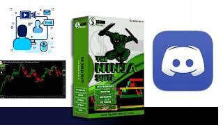 What is The Ninja Suite?