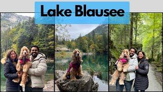 Lake Blausee in Autumn| Most beautiful lake in Switzerland | A day trip to Lake Blausee