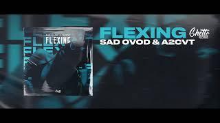 SAD OVOD & A2CVT - FLEXING