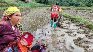 full video:single mother works to earn money to raise children