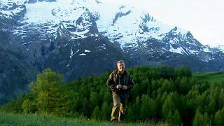 Exploring France's Beautiful Alpine Region | Ray Mears Wild France Compilation