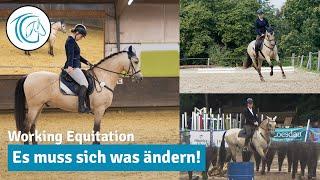 Fazit nach einer Turnier Saison Working Equitation - Machen wir das weiter?