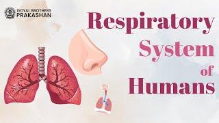 Respiratory System In Human | Respiratory System | Class-6 | Biology | Goyal Brothers Prakashan