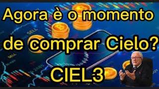 Luiz Barsi "não consigo entender, se era para Cielo esta valendo 5,00 , por que não  comprar  2,20?