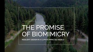 "The Promise of Biomimicry" : Innovation and Design Inspired by Nature