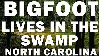 I ENCOUNTERED BIGFOOT IN THE SWAMPS OF NORTH CAROLINA | IT WAS TERRITORIAL!!!