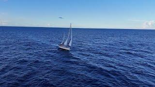 A man and a dog are sailing on the ocean