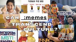 the hidden world of korean memes